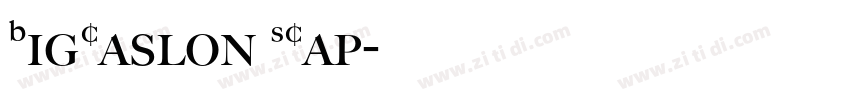 BigCaslon SCap字体转换 BigCaslon SCap字体转换